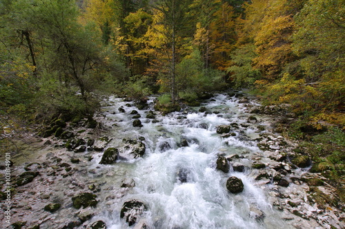 Obraz na płótnie The path to the Savica Falls w salonie