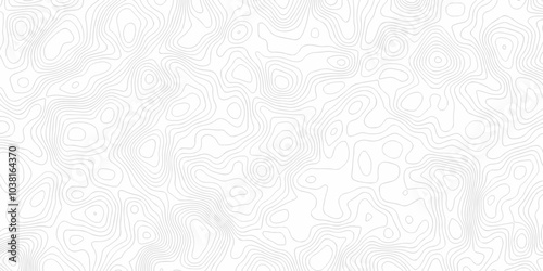 Abstract background vector. Abstract topographic contours map background. Abstract white pattern topography vector background. Black and white topography contour line map isolated on white background