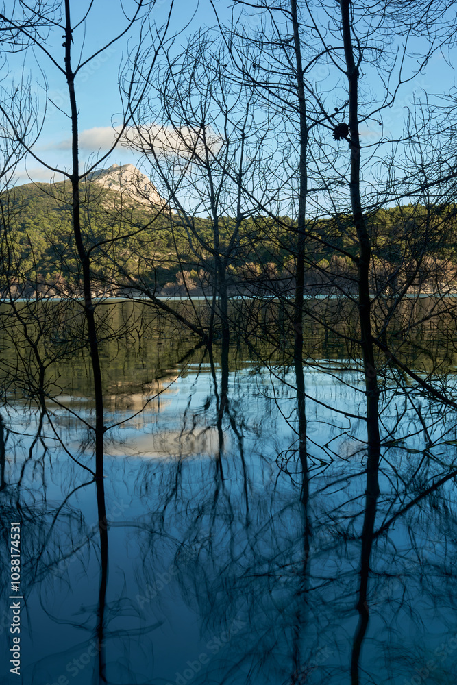 reflection of trees in water with mountain in the background reflection of trees in water with mountain in the background