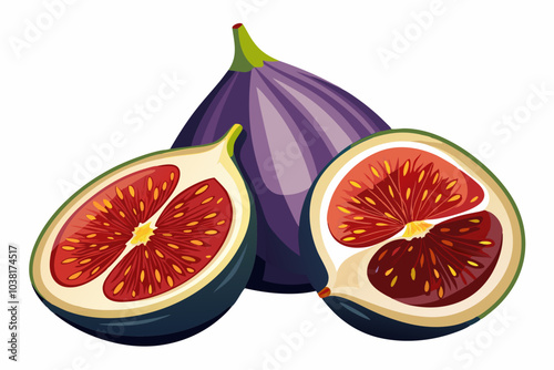 Fig Fruit realistic and detailed vector illustration