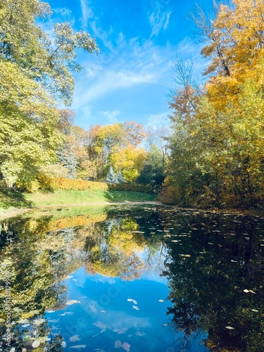 Autumn trees reflection on the water surface, pond in the park, beautiful autumn trees by the pond