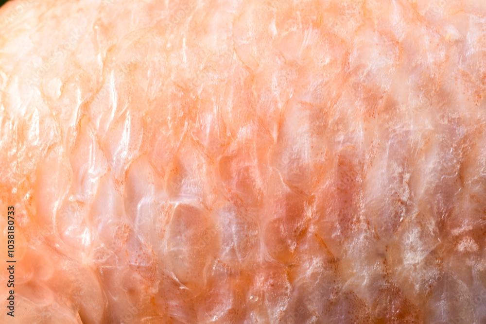 Pink fish skin background texture Pink fish skin background texture