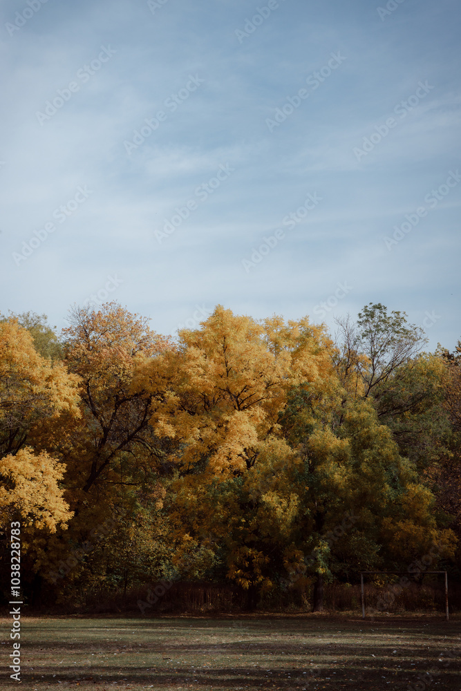 Autumn forest landscape. Yellowed leaves on trees in a national park. Orange and green shades of deep autumn. Calm and windless sunny weather. Autumn forest landscape. Yellowed leaves on trees in a national park. Orange and green shades of deep autumn. Calm and windless sunny weather.