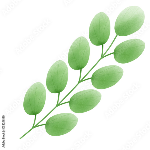 green leaf isolated on white background