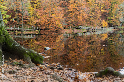 S?der?sen national park during autumn in southern Sweden. Nature background. photo