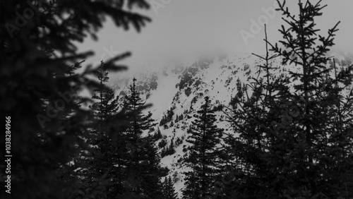 Zimowy widok w karkonoszach