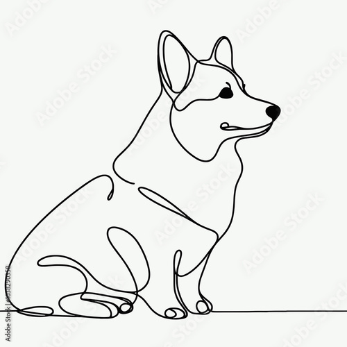 sitting corgi, black and white drawing, flat colors