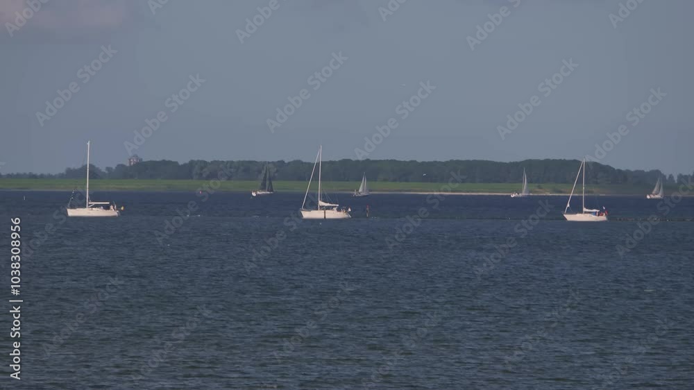 boats sailing on a blue lake on a sunny day with a green field and trees in the background boats sailing on a blue lake on a sunny day with a green field and trees in the background