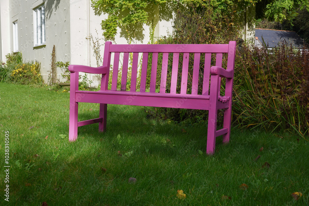 Pink wooden bench in garden. relaxing place to sit and rest Pink wooden bench in garden. relaxing place to sit and rest