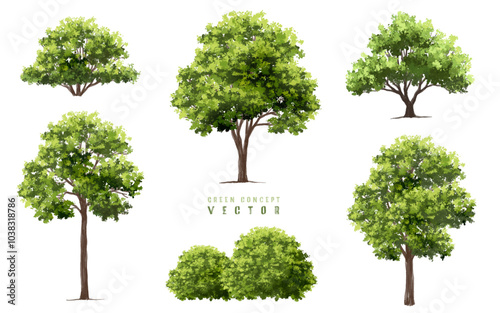  Vector watercolor green  tree or forest side view isolated on white background for landscape and architecture drawing,elements for environment or and garden,Shrub for section