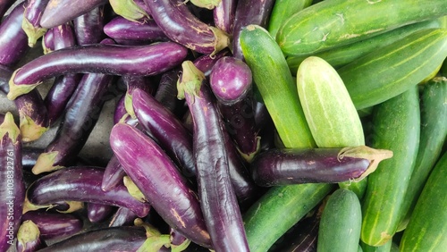 piles of purple eggplants and fresh green cucumbers