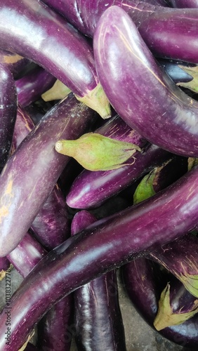 pile of fresh purple eggplants