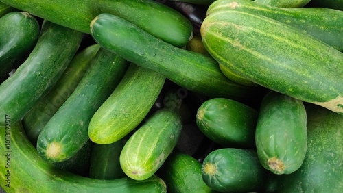 pile of green cucumbers food fresh vegetable