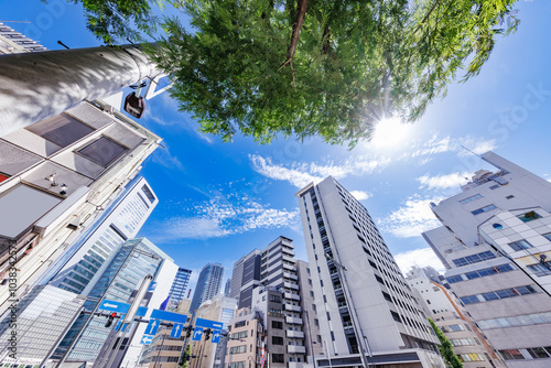 巨大なビルが立ち並ぶ東京の街