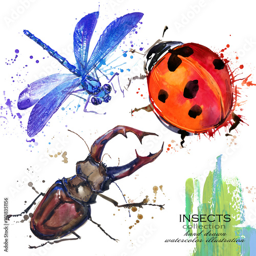 Watercolour set Insects in different poses isolated on a white background
