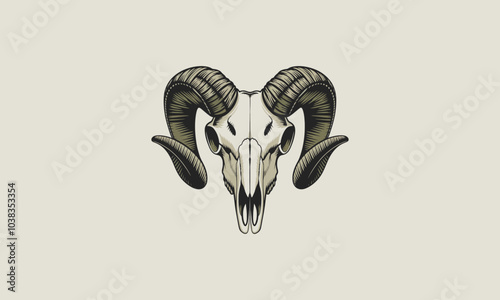 Ram skull with curved horns vector illustration.