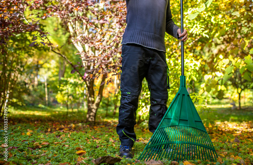 Ein Mann mit grünem Rechen um Laub im Garten zusammen zu fegen. photo