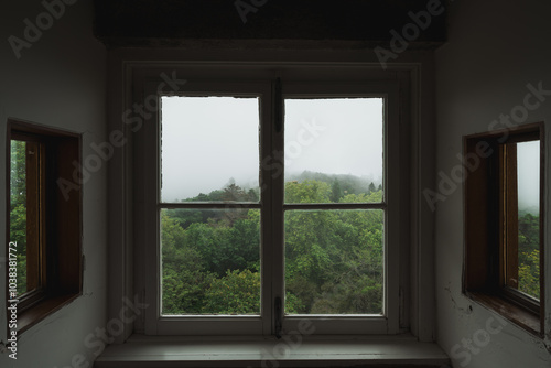 window with a view