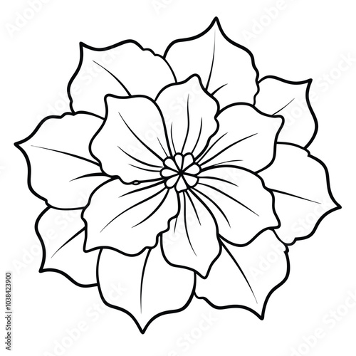 hand-drawn-petunia-flower-vector  out line