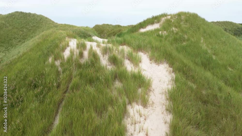 In den Dünen am breiten Nordseestrand
