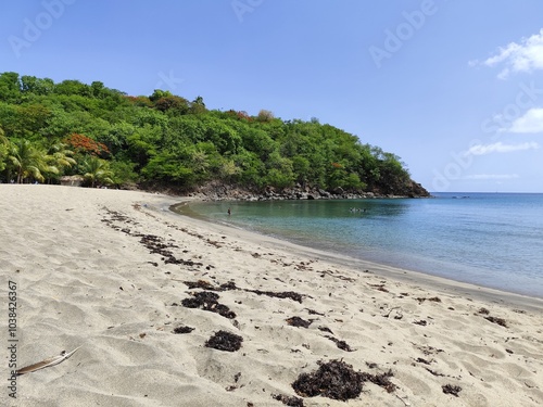 Petite Anse, in Pointe Noire, beach landscape in north of Basse Terre, and Caribbean sea in Guadeloupe in daylight. Idyllic vacation destination in lesser antilles.  photo