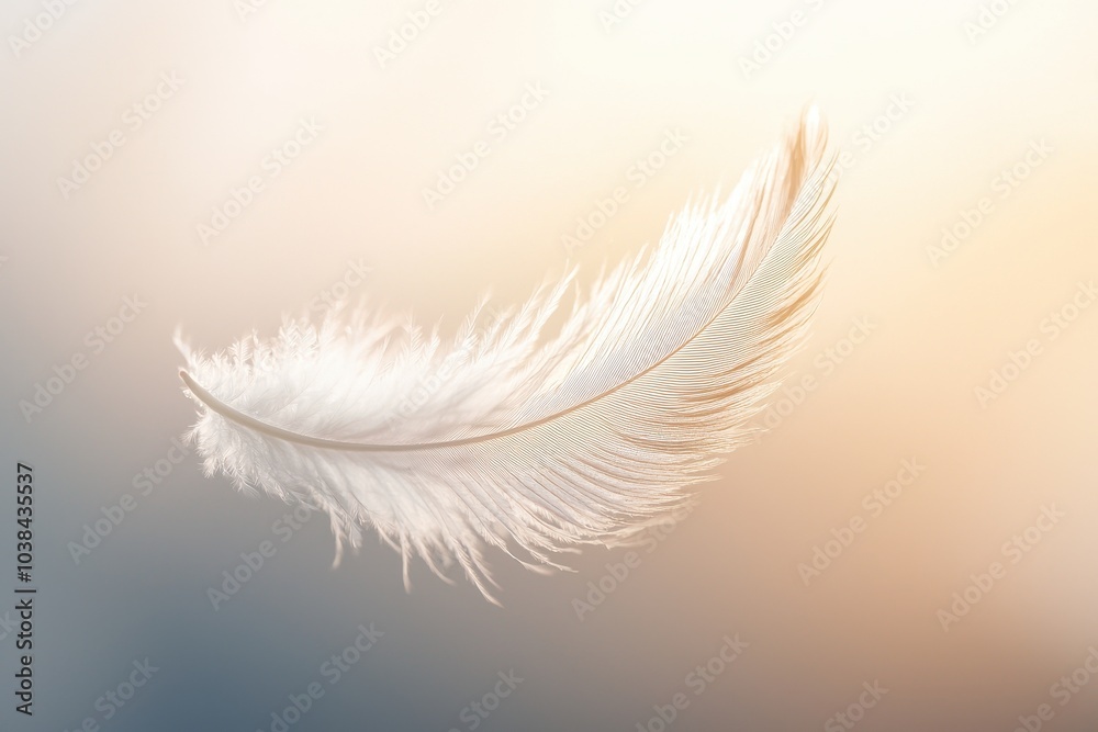 Delicate Feather Floating in Soft Focus Delicate Feather Floating in Soft Focus