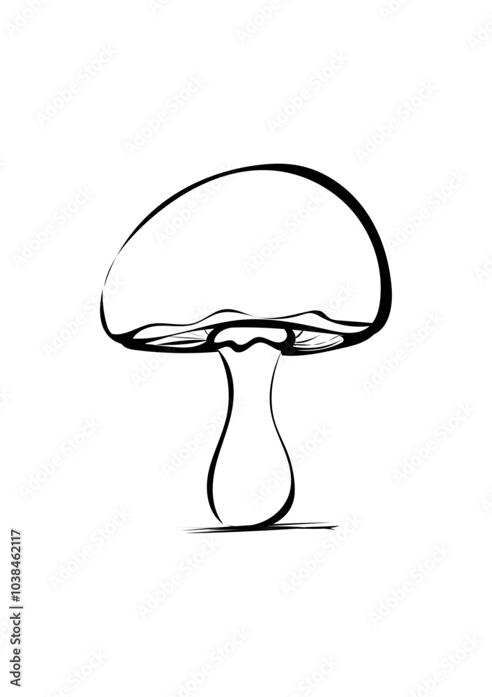 Pilz Pilz