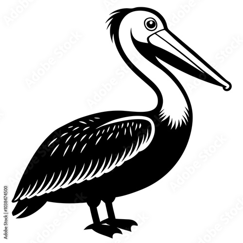 brown pelican  on white