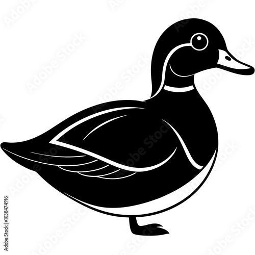 duck illustration