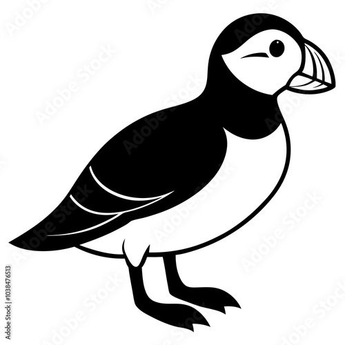 puffin  on white background