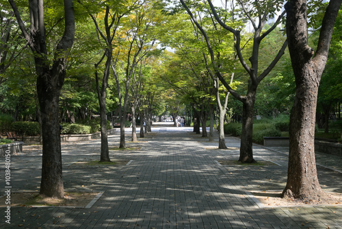 韓国の新都市：一山（イルサン・Ilsan）の街並み