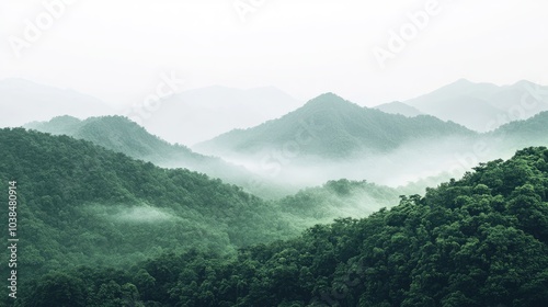 Serene Misty Mountains with Lush Green Landscape