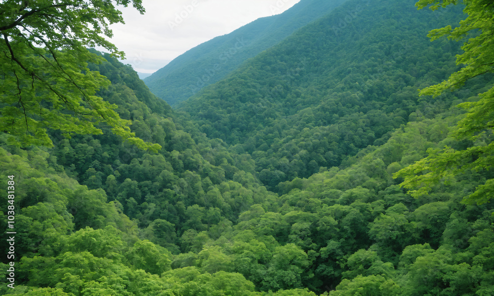 Obraz premium 짙은 안개에 가려진 신비로운 산 풍경 멋진 봉우리 풍경