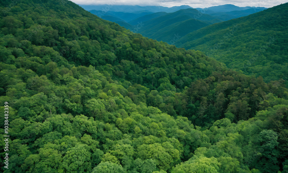 Obraz premium 짙은 안개에 가려진 신비로운 산 풍경 멋진 봉우리 풍경