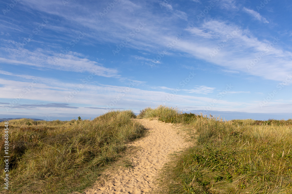 Trail and dunes on beach with blue sky and clouds background Trail and dunes on beach with blue sky and clouds background