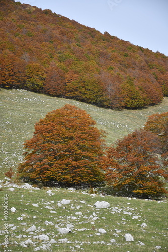Jesień w Abruzzo, Italy.