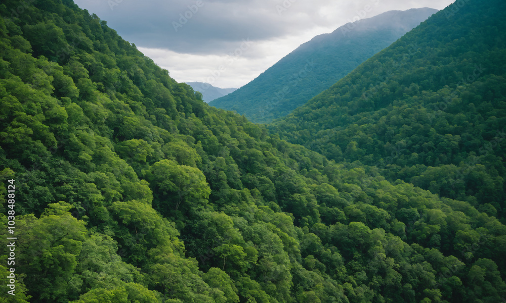 Obraz premium 짙은 안개에 가려진 신비로운 산 풍경 멋진 봉우리 풍경