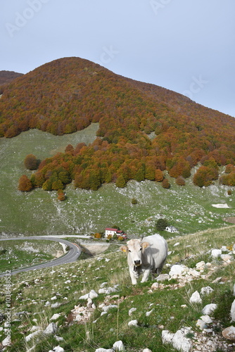 Jesienne kadry z pięknego Abruzzo, Italia.