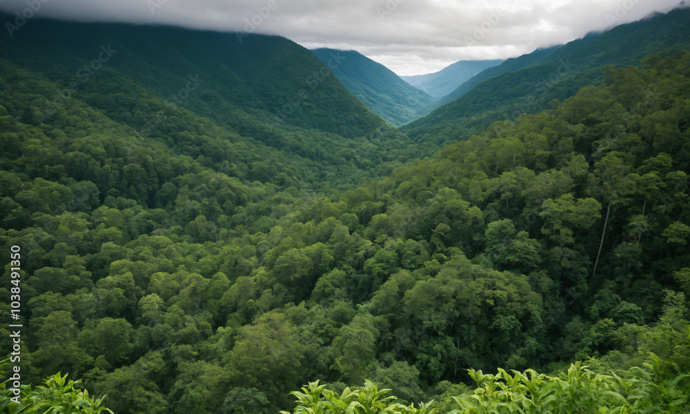 Obraz premium 짙은 안개에 가려진 신비로운 산 풍경 멋진 봉우리 풍경