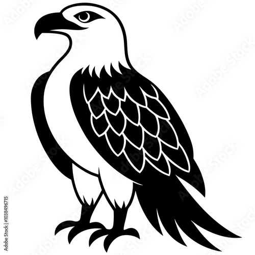  african fish eagle on white