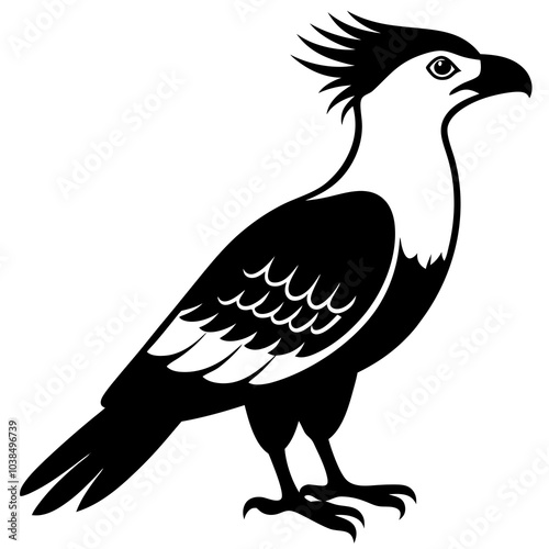 crested caracara on white