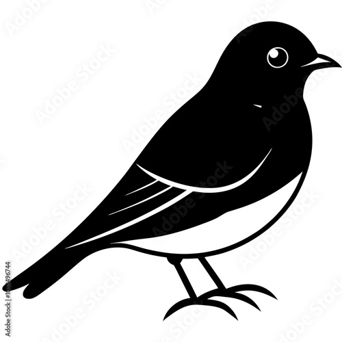  western bluebird on white
