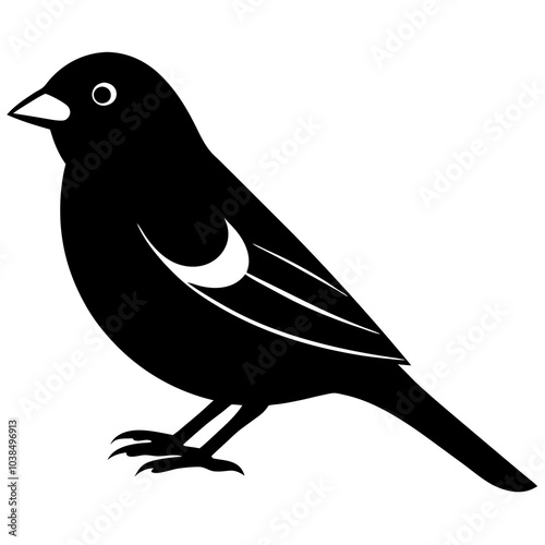 gal pagos finch on white