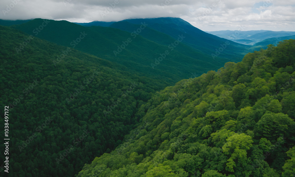 Obraz premium 짙은 안개에 가려진 신비로운 산 풍경 멋진 봉우리 풍경