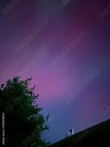 Aurora-borealis and tree at nighttime in the sky 