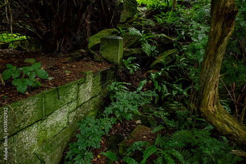 Ruins of Dunmore house Scotland photo