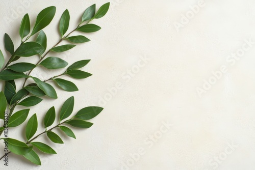 green leaves on a white background