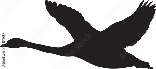 The silhouette of flying swan vector art