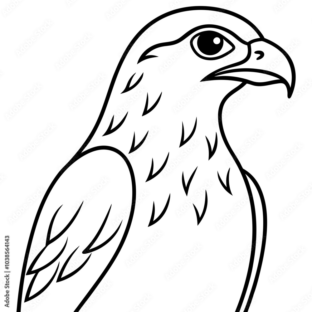 Hawk Hawk
