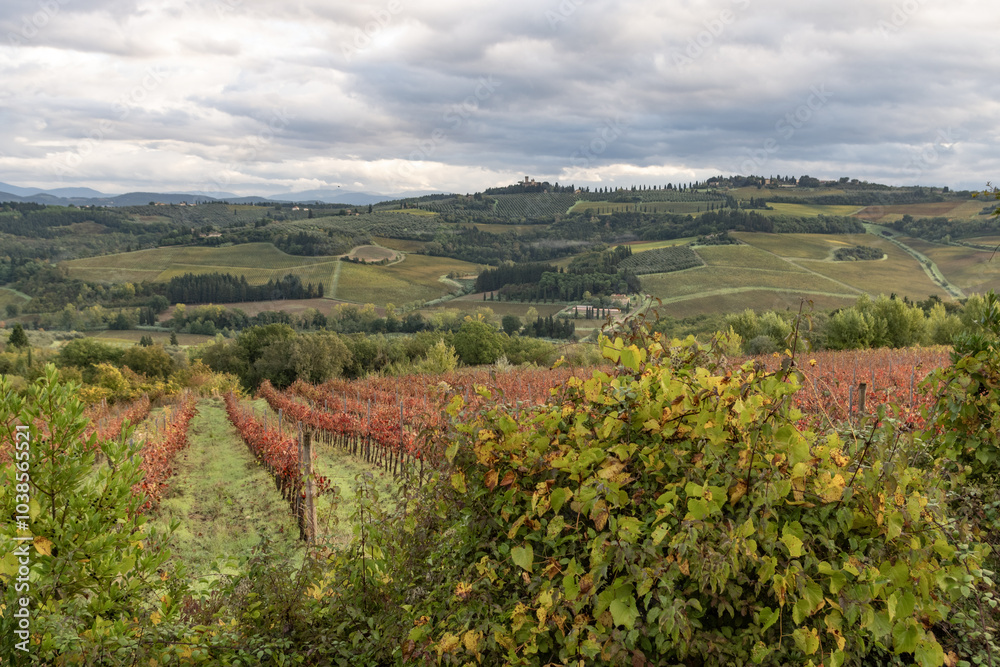 I campi e i castelli intorno a Montespertoli in provincia di Firenze a fine ottobre I campi e i castelli intorno a Montespertoli in provincia di Firenze a fine ottobre